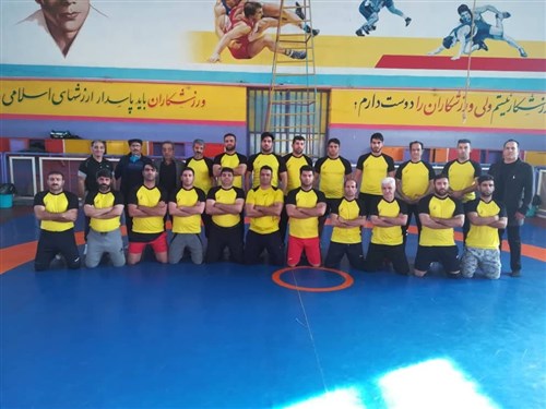 حضور مدرسان انستیتو کشتی در استان ها (همراه با فیلم)